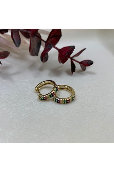 Piaro Collection Colorful Round Earrings with Stone Detail