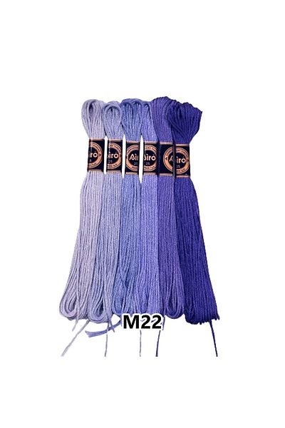 EleganTShoP Airo Muline Etamine Cotton Embroidery Thread Set of 6