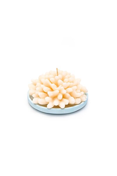 Missi Dekoratif Mercan Mum ve Seramik Mum Altlığı