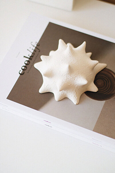 BEIGE Mercan Dokulu Dekoratif Obje