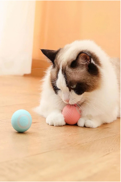 BRN Petshop Akıllı Kedi Oyuncakları Otomatik Yuvarlanan Top Elektrikli Kedi O...