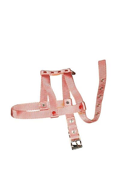 Lovely Adjustable Dog Breast Collar 2cm 5-17 Kg SALMON for Dogs