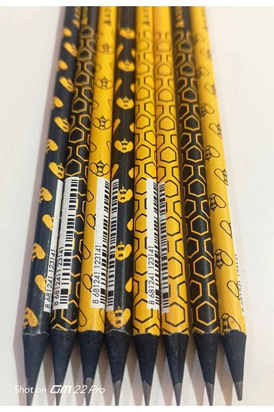 Adel Pencil Blackline Bee 2B Patterned (8 pieces)