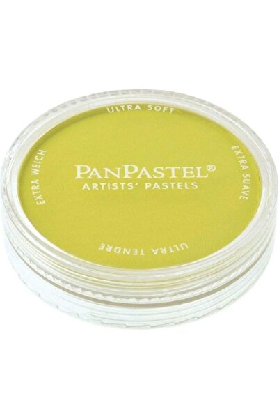 Panpastel Ultra Soft Artist Pastel Paint Bright Yellow Green 26805