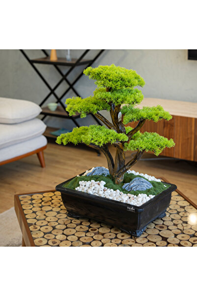 Omnia Concept Atlas Bonsai-6 Masaüstü Kullanıma Uygun Doğal Ağaç Gövdeli Yapay Bonsai Ağacı - 50x60 Cm