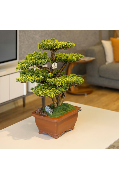 Omnia Concept Flora Bonsai-5 Masaüstü Kullanıma Uygun Doğal Ağaç Gövdeli Yapay Bonsai Ağacı - 40x50 Cm