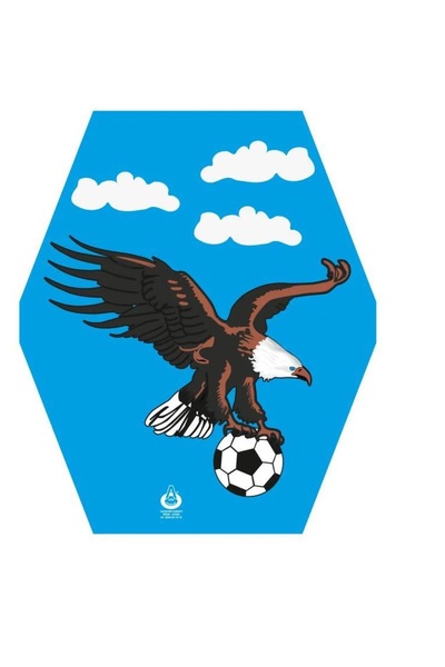 Genel Markalar Kartal Desenli Altıgen Uçurtma + 50mt Ipli