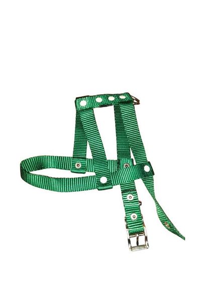 Lovely Adjustable Dog Breast Collar 2cm 5-17 Kg GREEN for Dogs