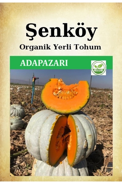 Şenköy Yerli Adapazarı Beyaz Kestane Balkabağı Tohumu Doğal Bal Kabak Ata Tohum Pakette 10 gr