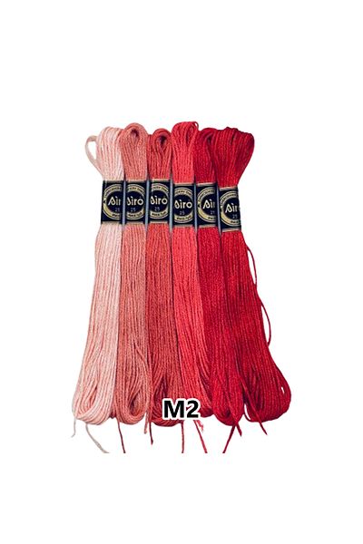 EleganTShoP Airo Muline Etamine Cotton Embroidery Thread Set of 6