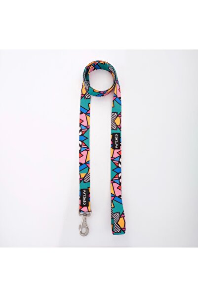 PATİMİO Colorful Köpek Gezdirme Tasması