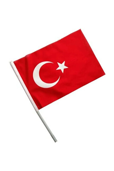 ASCANN Çubuklu Türk Bayrağı Elde Sallamalık 25 Adet 50x70 Raşel