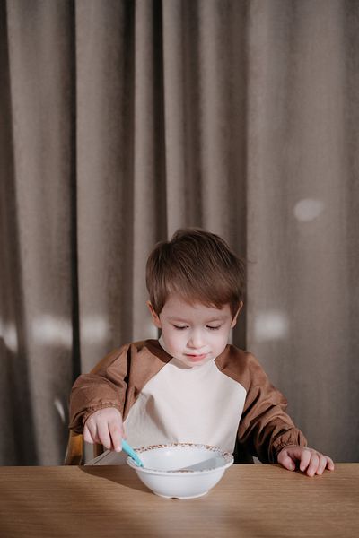 Dear Deer Love Noah Long Sleeve Feeding & Activity Bib 1-3 years - Brown