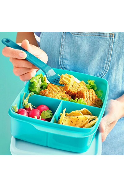 Tupperware Mikrodalga Bölmeli Beslenme Fırın Kabı 1lt