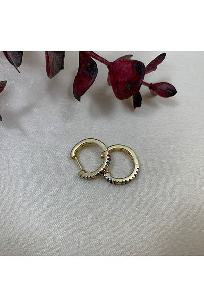 Piaro Collection Colorful Round Earrings with Stone Detail