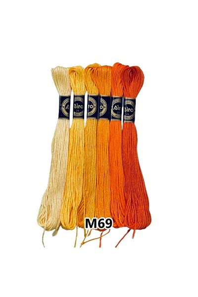 EleganTShoP Airo Muline Etamine Cotton Embroidery Thread Set of 6