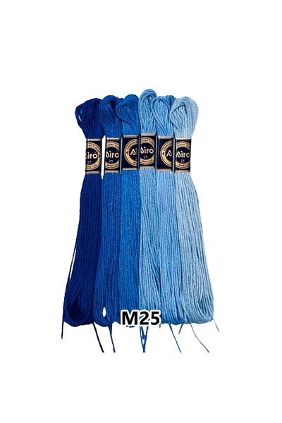 EleganTShoP Airo Muline Etamine Cotton Embroidery Thread Set of 6