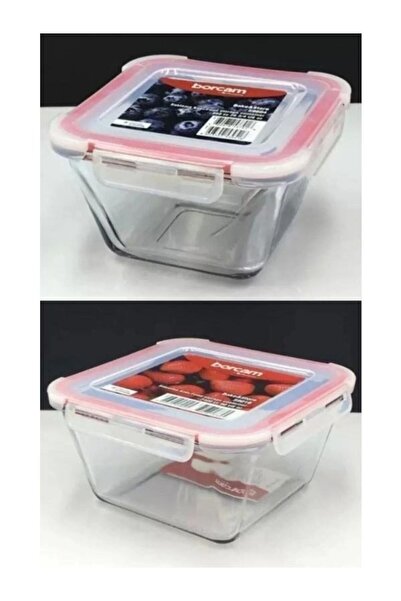 Viyalente Set of 2 Pyrex Storage Container Oven Dishes 860 Cc-2400 Cc