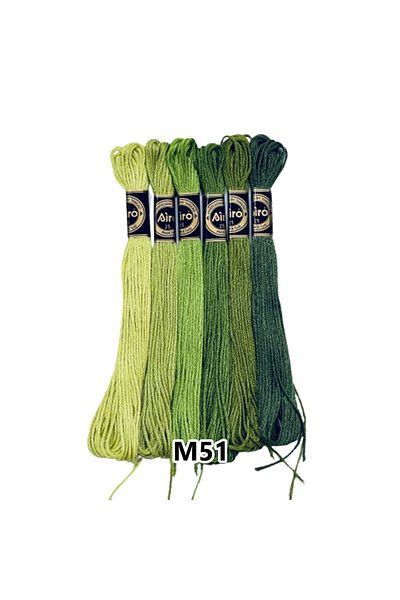EleganTShoP Airo Muline Etamine Cotton Embroidery Thread Set of 6