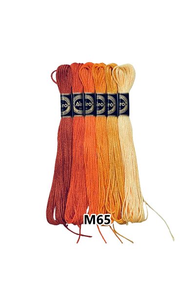 EleganTShoP Airo Muline Etamine Cotton Embroidery Thread Set of 6