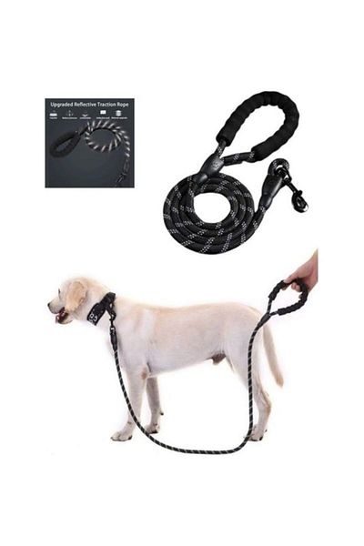 CARNIVAL LAND A+ Quality - Reflective Strap, 130 cm Medium and Large Size Walking Collar Money Dogs