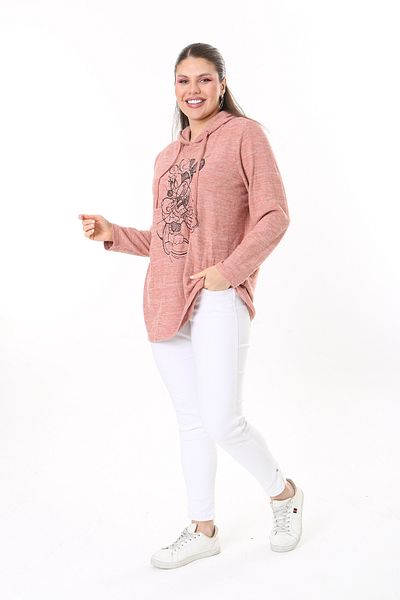 Şans Women's Large Size Salmon Embroidery Detailed Hooded Sweatshirt 65N37718
