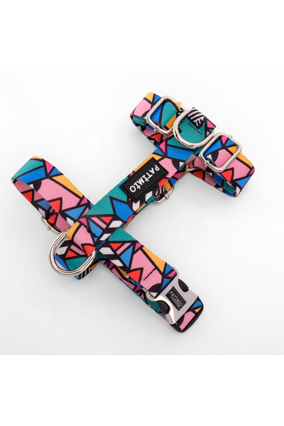 PATİMİO Colorful Köpek Göğüs, Boyun Ve Gezdirme Tasma Seti