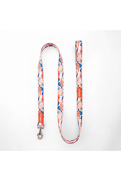 PATİMİO Spring Köpek Göğüs, Boyun Ve Gezdirme Tasma Seti