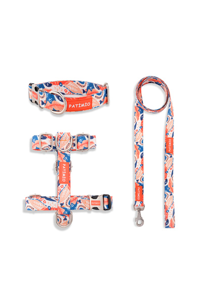 PATİMİO Spring Köpek Göğüs, Boyun Ve Gezdirme Tasma Seti