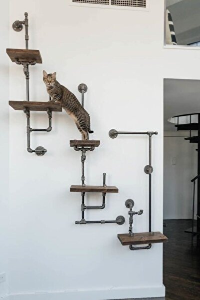 Blbndesign Dekoratif Duvara Borudan Kedi Merdiveni 3'lü Set
