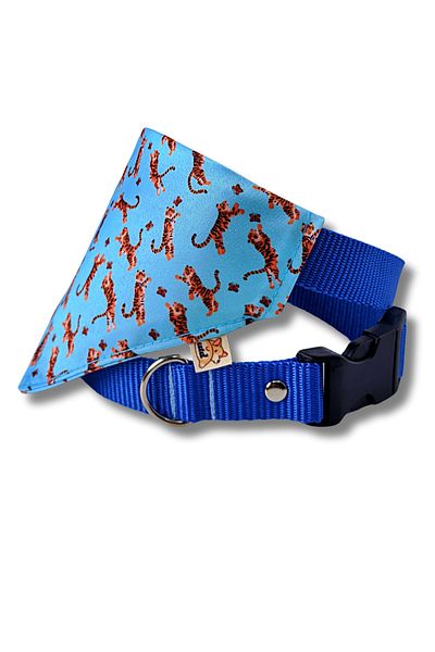 UTDpet Dog Collar with Tigerfly Scarf