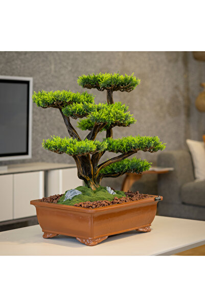 Omnia Concept Atlas Bonsai-1 Masaüstü Kullanıma Uygun Doğal Ağaç Gövdeli Yapa...