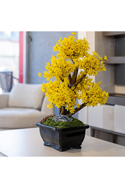 Omnia Concept Flora Bonsai-9 Masaüstü Kullanıma Uygun Doğal Ağaç Gövdeli Yapay Bonsai Ağacı - 40x50 Cm