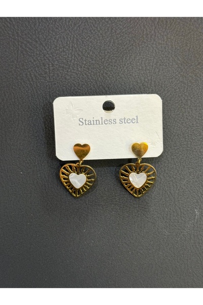 Stainless steel kalp temalı küpe