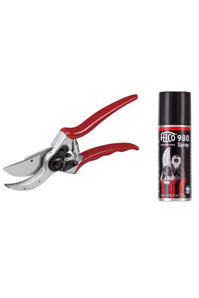 Felco 2 Pruning Scissors and 980 Care Solutions