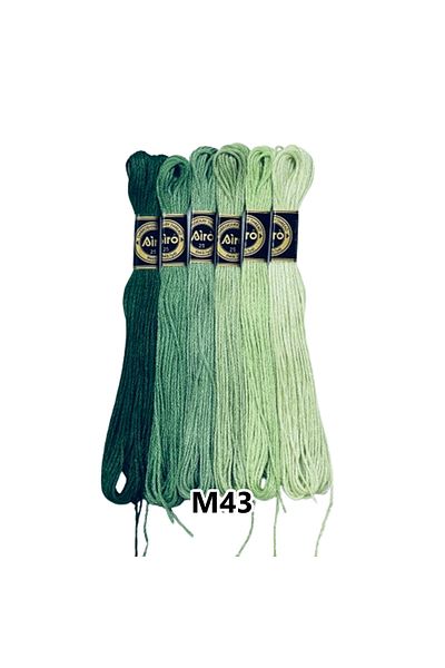 EleganTShoP Airo Muline Etamine Cotton Embroidery Thread Set of 6