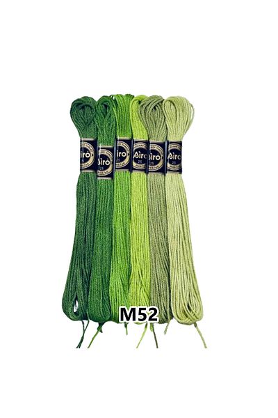 EleganTShoP Airo Muline Etamine Cotton Embroidery Thread Set of 6