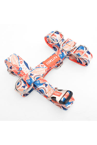 PATİMİO Spring Köpek Göğüs, Boyun Ve Gezdirme Tasma Seti