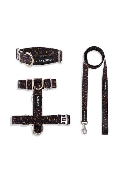 PATİMİO Gold Paws Dog Chest, Neck and Walking Leash Set