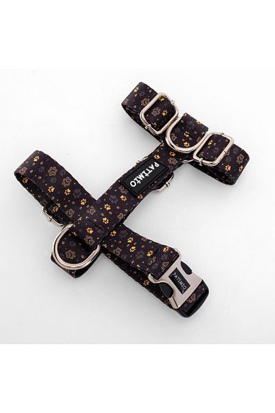 PATİMİO Gold Paws Dog Chest, Neck and Walking Leash Set