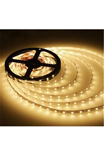 Cata 10 Çip Günışığı Şerit Led İç Mekan 5 Metre Ct-4481