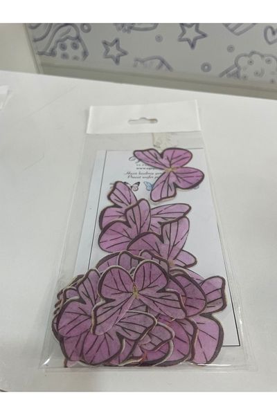 Ege Pastacılık Edible Butterfly Cake Decoration