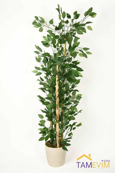 TAMEV Yapay Benjamin Ağacı Bambu 3 Gövdeli 100cm