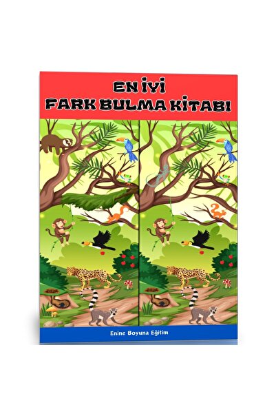 Enine Boyuna Eğitim The Best Book of Difference Findings