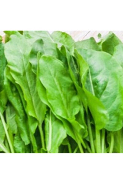 Köy Tohumları 50 Adet Tohum Organik Hasat Köy Kuzu Kulağı Tohumu Hediye Tohum...