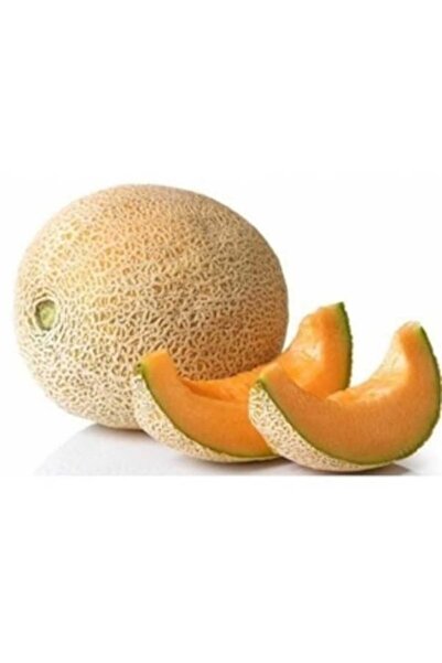 Köy Tohumları 20 Adet Tohum Nadir Sarı Ananas Bal Kavun Tohumu Hediye Tohumludur