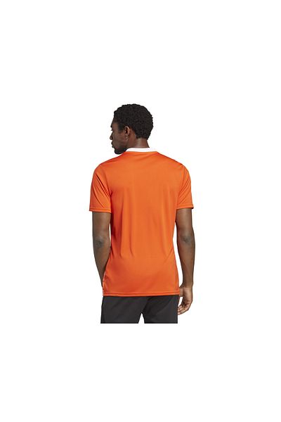 adidas Men's Training T-Shirt - T Icon23 Jsy, IC1251 Orange