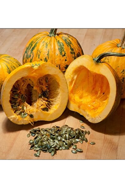 Tohumcumm 20 Adet Tohum Nadir İthal Kabuksuz Kabak Çekirdeği Tohumu