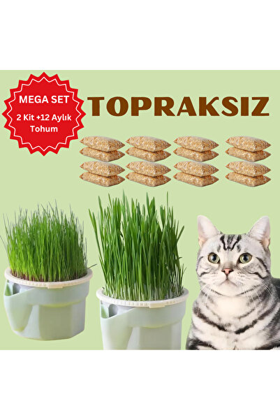 Exelox Topraksız Suda Kedi Çimi Yetiştirme Kiti Mega Set (2 Kit + 12 Aylık To...