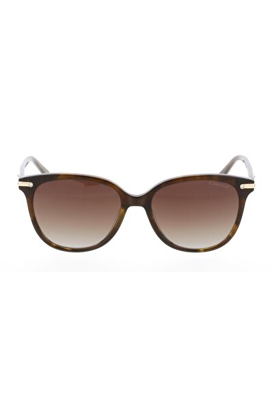 Osse OS3513-02 55 Kadın Güneş Gözlüğü